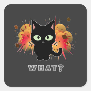 Funny Black Cat What Cute Kitten Lovers Pet Humor Square Sticker