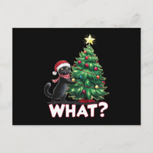 Funny Black Cat What Xmas Christmas Tree Holiday Postcard