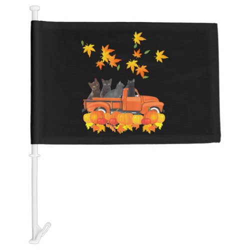 Funny Black Cats Truck Autumn Pumpkin Maple Leaf Car Flag