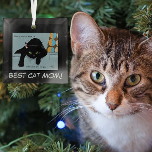 Funny Black Cute Best Cat Mom Mother’s Day Glass Ornament