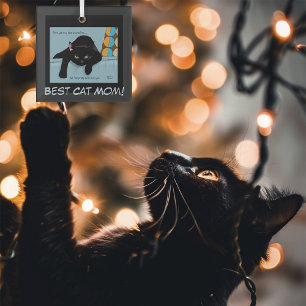 Funny Black Cute Best Cat Mom Mother’s Day Glass Ornament