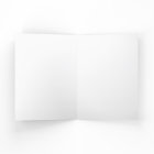 Funny Black Labradoodle Birthday Party Invitation