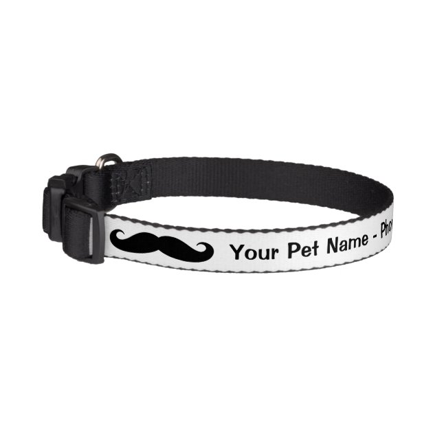 Mustache clearance dog collar