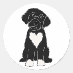 Funny Black Portuguese Water Dog Classic Round Sticker