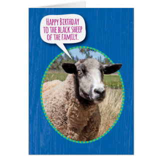 Funny Sheep Birthday Cards | Zazzle