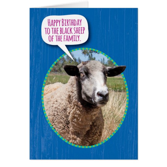 sheep-happy-birthday-meme