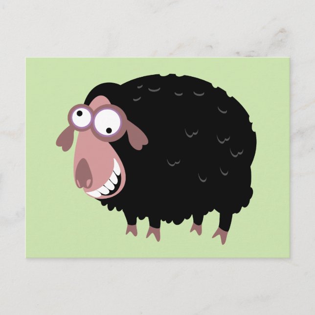 Funny Black Sheep Postcard (Front)