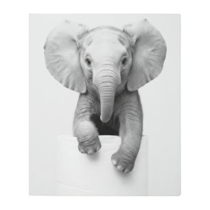 Funny Black White Baby Elephant Wildlife Photo Art