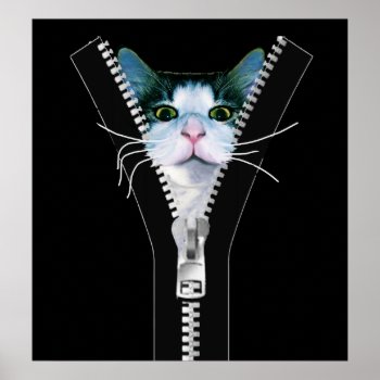 Funny Black & White Cat With Zipper Poster by FXtions at Zazzle