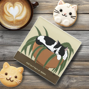 Funny Black White Tuxedo Cat Sleeping  Houseplant Glass Coaster