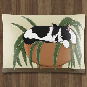 Funny Black White Tuxedo Cat Sleeping Houseplant Trinket Tray