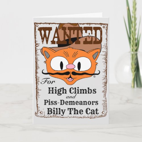 Funny Blank Inside Card Outlaw Cowboy Cat