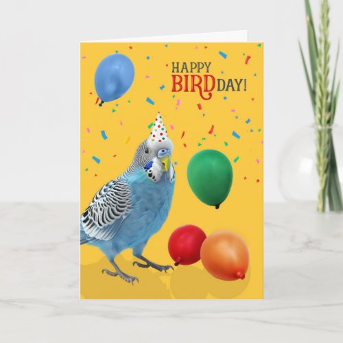 Funny Blue and White Budgie Parakeet Birthday