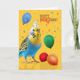 Funny Blue and Yellow Budgie Parakeet Birthday Card