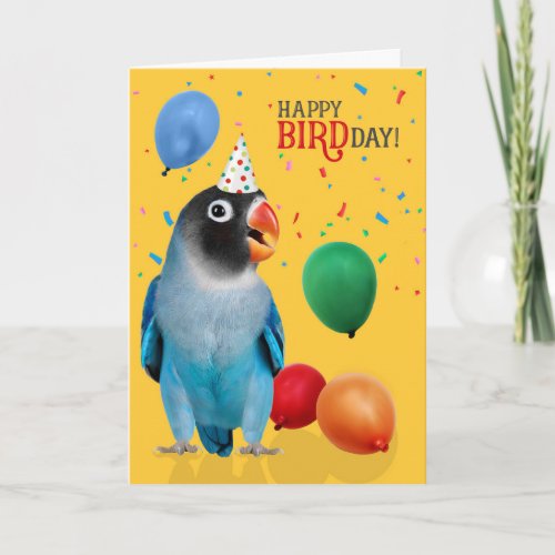Funny Blue Lovebird Parrot Birthday