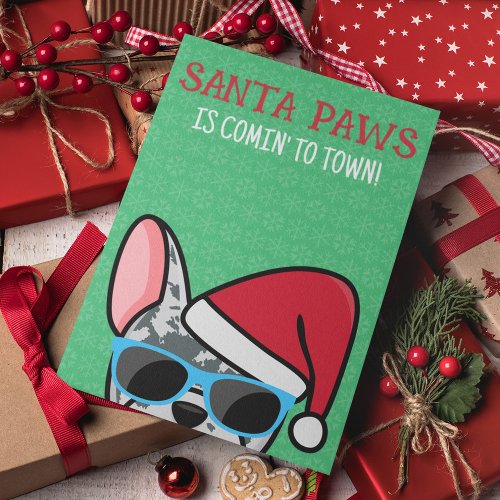 Funny Blue Merle Frenchie Santa Paws Christmas Card