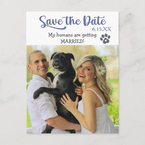 Funny Blue Text Save the Wedding Date with Dog Postcard