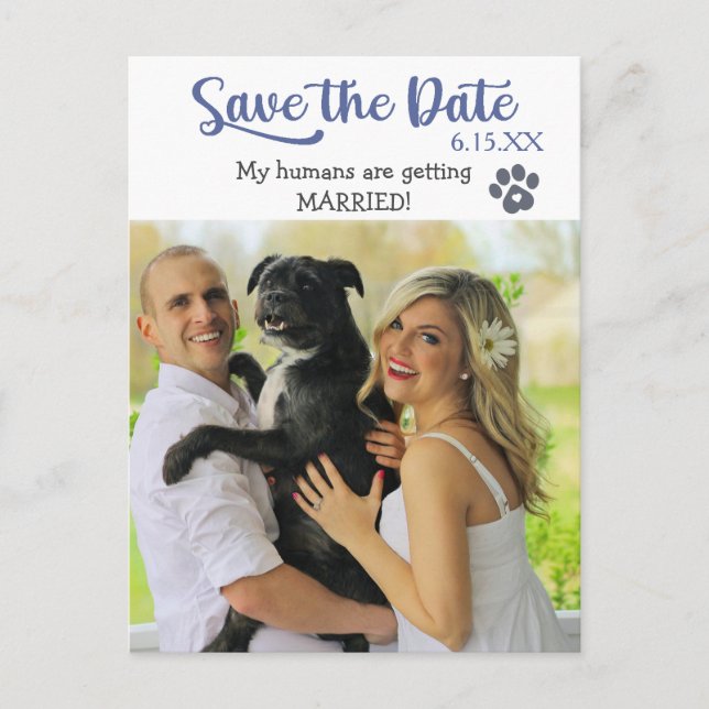 Funny Blue Text Save the Wedding Date with Dog Postcard (Front)