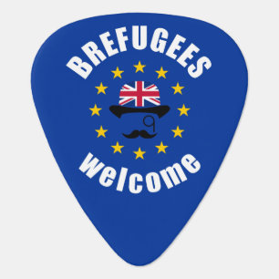 Funny Blue Yellow Red European Union Brexit Pun Guitar Pick