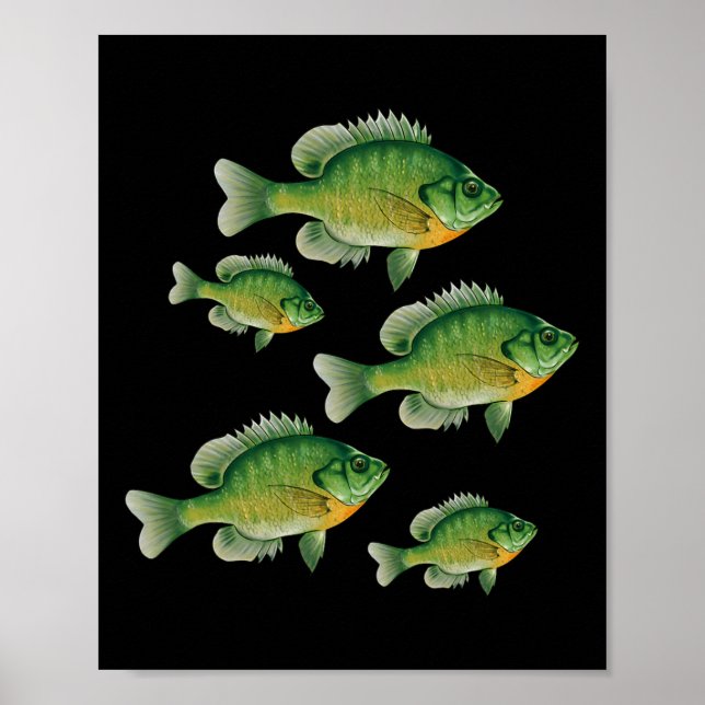 Funny Bluegill Sunfish Fishing Freshwater Fish Ang Poster (Front)