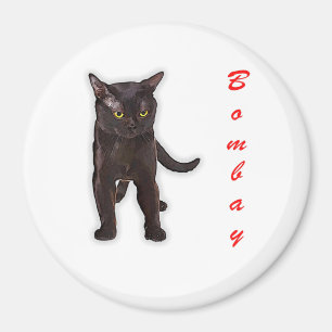 Funny Bombay Cat Japan Gift For Dad Mom Brother Magnet