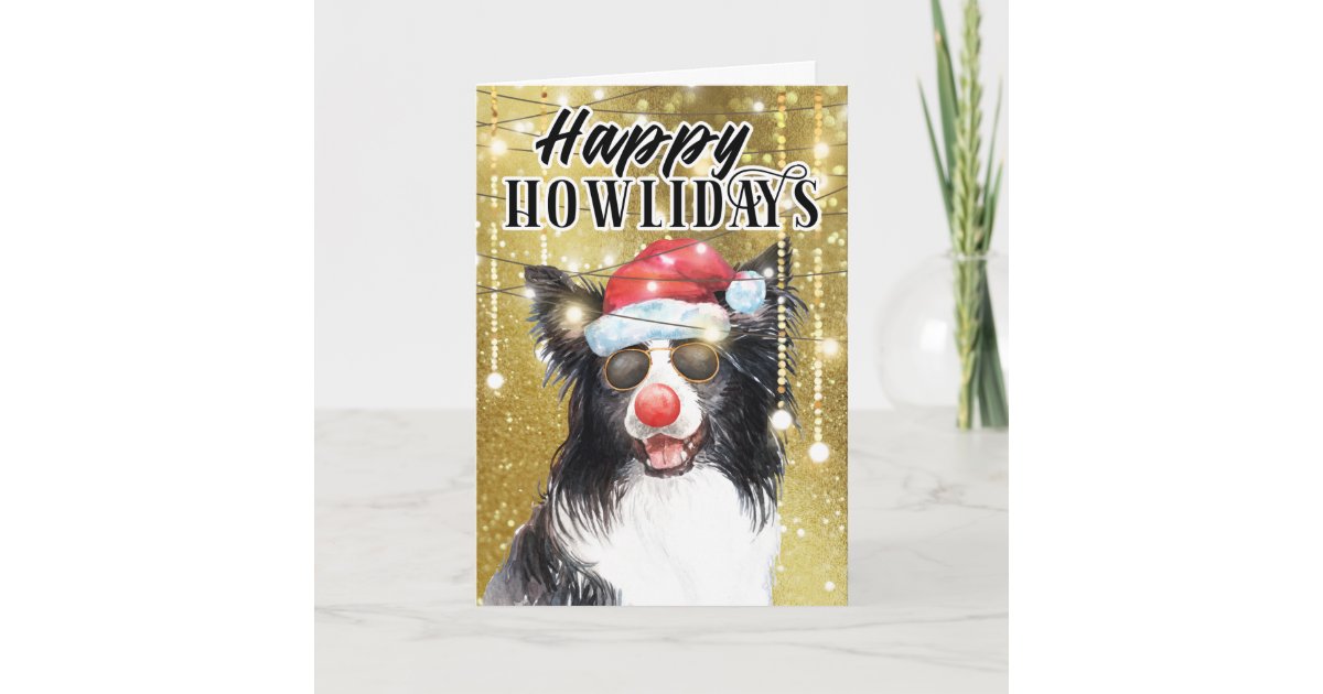 Funny border collie in lights happy holidays card | Zazzle