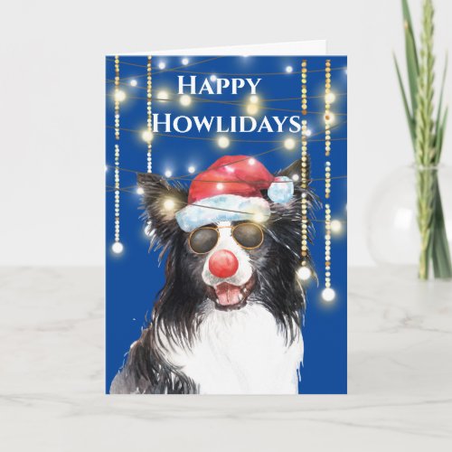 Funny border collie in lights with red Santa hat Card