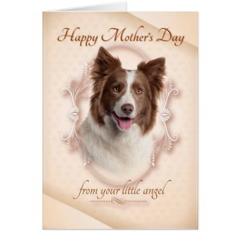 Funny Border Collie Mother's Day Card by ForLoveofDogs at Zazzle