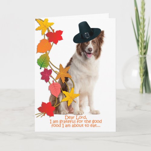 Funny Border Collie Thanksgiving Card