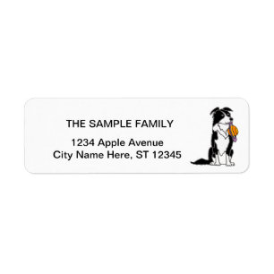Funny Border Collie with Saturn Disc Label