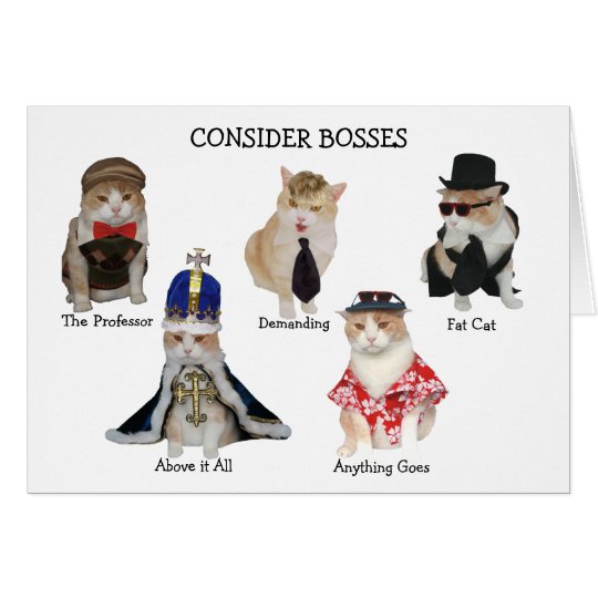 funny-boss-birthday-card-zazzle