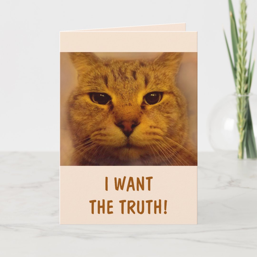 Funny Bossy Cat Get Well Card | Zazzle