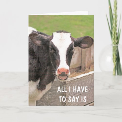 Funny Bossy Cow Get Well Card