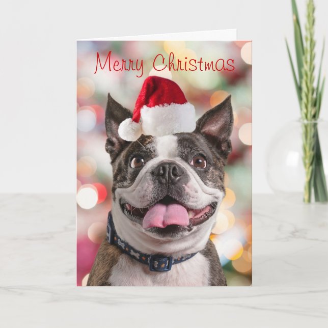 Funny Boston Terreir with Santa Hat Holiday Card (Front)