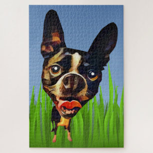 Funny Boston Terrier 1014 Piece Puzzle