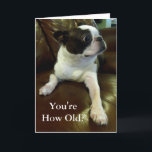 Funny Boston Terrier Birthday Card (Animal Rescue)<br><div class="desc">This card features an adorable Boston Terrier who is comically shocked at finding out your age and would be perfect for anyone in need of a funny birthday card or even just a daily dose of cute. Additionally, 5% of the royalties from each sale are donated to animal rescue, so...</div>