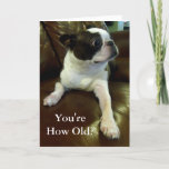 Funny Boston Terrier Birthday Card (Animal Rescue)<br><div class="desc">This card features an adorable Boston Terrier who is comically shocked at finding out your age and would be perfect for anyone in need of a funny birthday card or even just a daily dose of cute. Additionally, 5% of the royalties from each sale are donated to animal rescue, so...</div>