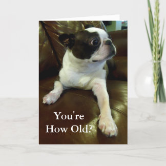 Funny Boston Terrier Birthday Card (Animal Rescue)