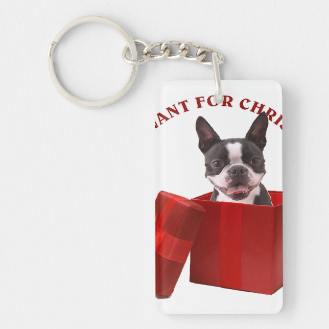 Funny Boston Terrier Gift For Pet Lover Keychain (Front)