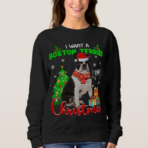 Funny Boston Terrier Gift For Pet Lover Sweatshirt