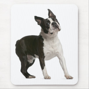 Funny Boston Terrier Gifts Cute Puppy Dog Lovers  Mouse Pad
