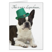 Funny Boston Terrier Leprechaun Card (Front)