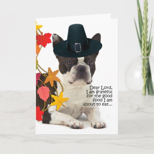 Funny Boston Terrier Thanksgiving Card