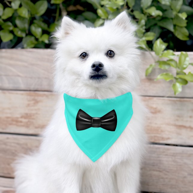 Funny Bow Tie Pet Bandana Collar - Custom Color (Dog)