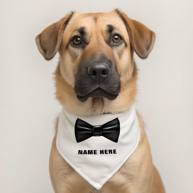 Funny Bow Tie Pet Bandana Collar with Custom Name (Dog 2)