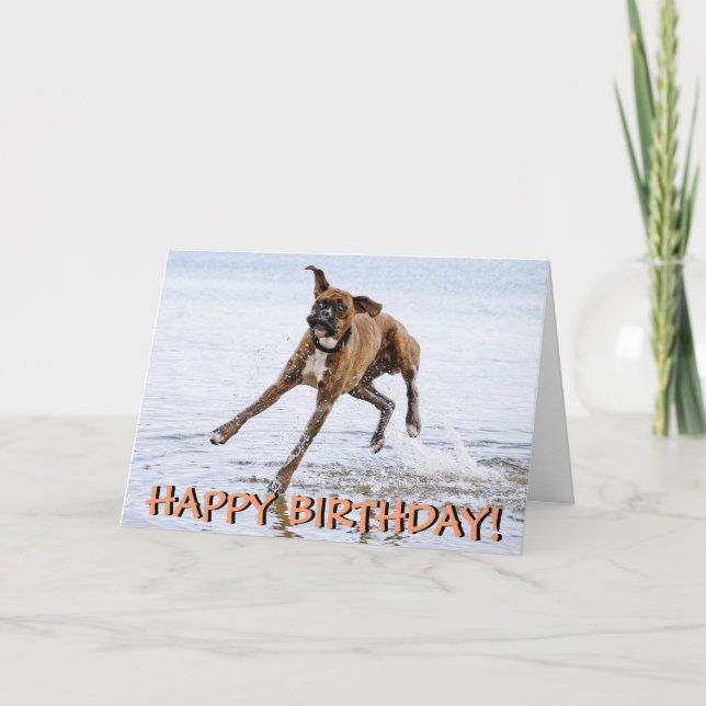 Funny boxer dog birthday card (Front)