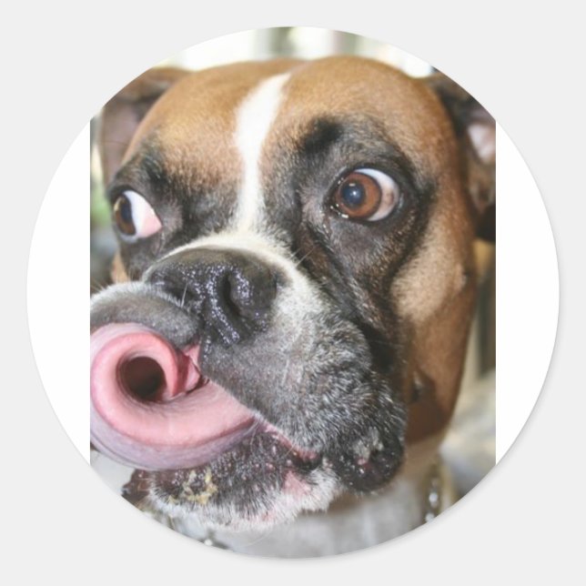 Funny Boxer Dog Classic Round Sticker (Front)