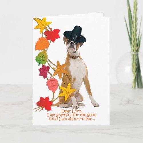 Funny Boxer Thanksgiving Card