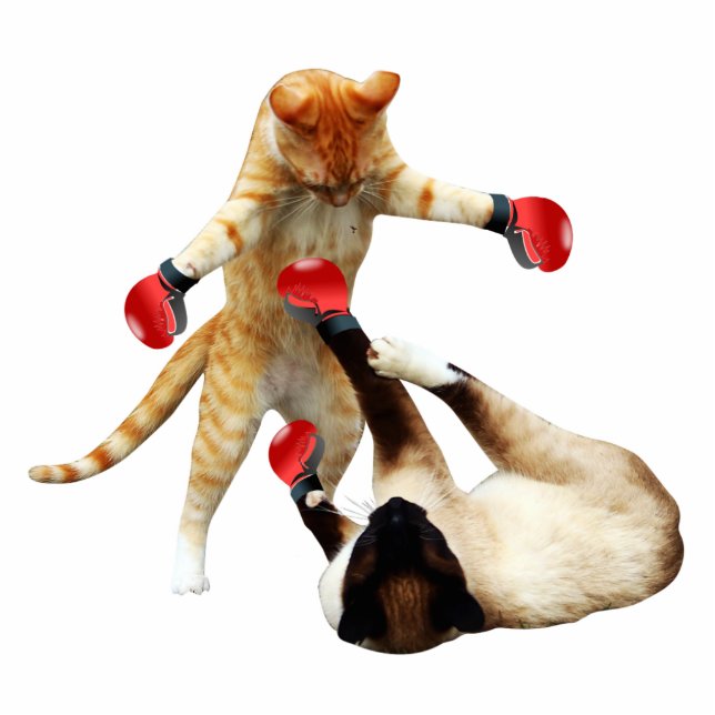 Funny boxing cats statuette (Front)