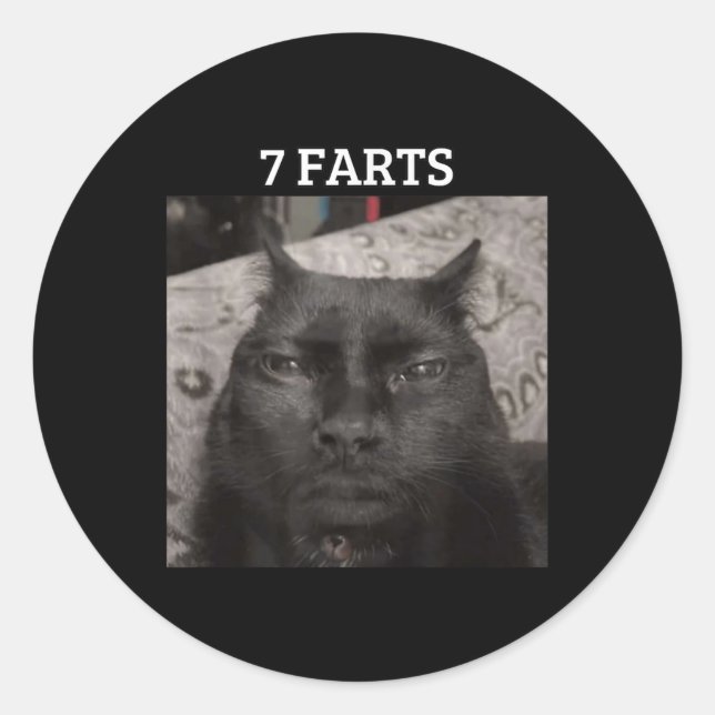 Funny Brainrot Meme Gen Z Humour Gen Alpha Uni-adu Classic Round Sticker (Front)